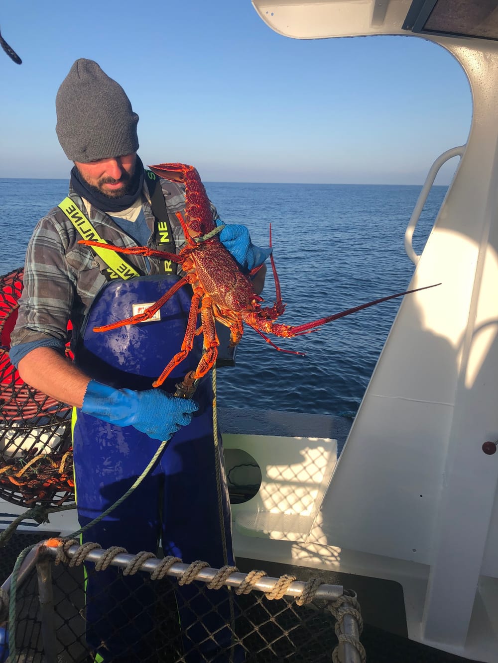 State Government cuts risk commercial fishing, exports post image