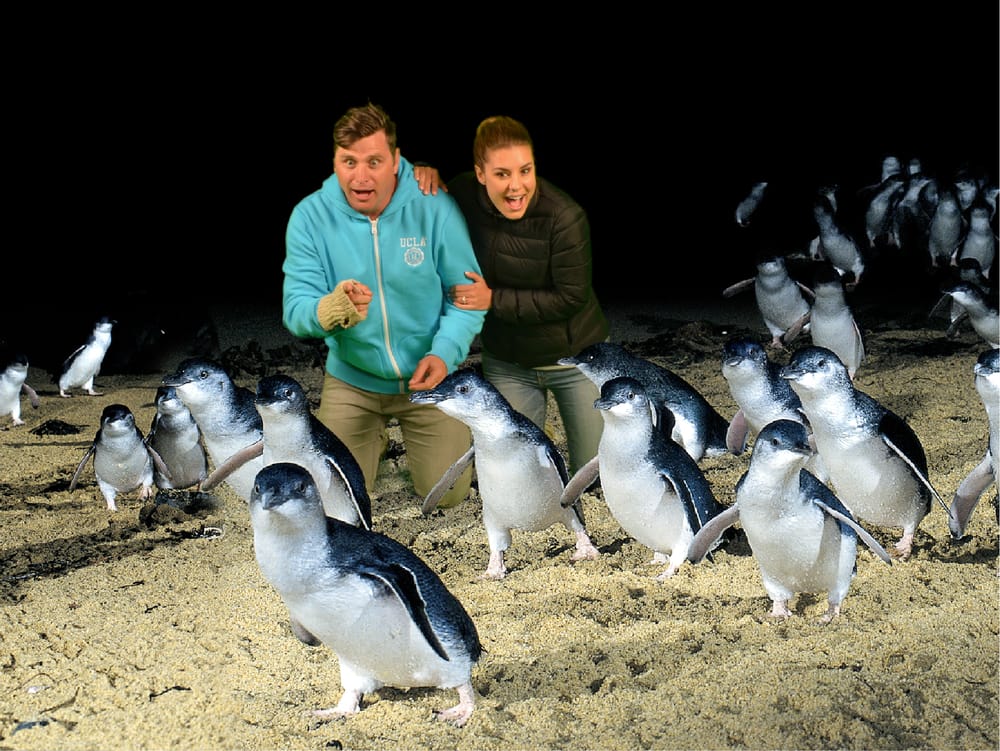 And there’s more post image