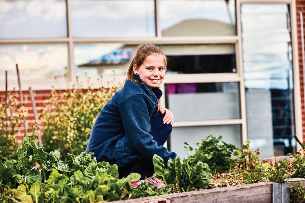 Make a sustainable start to the school year post image