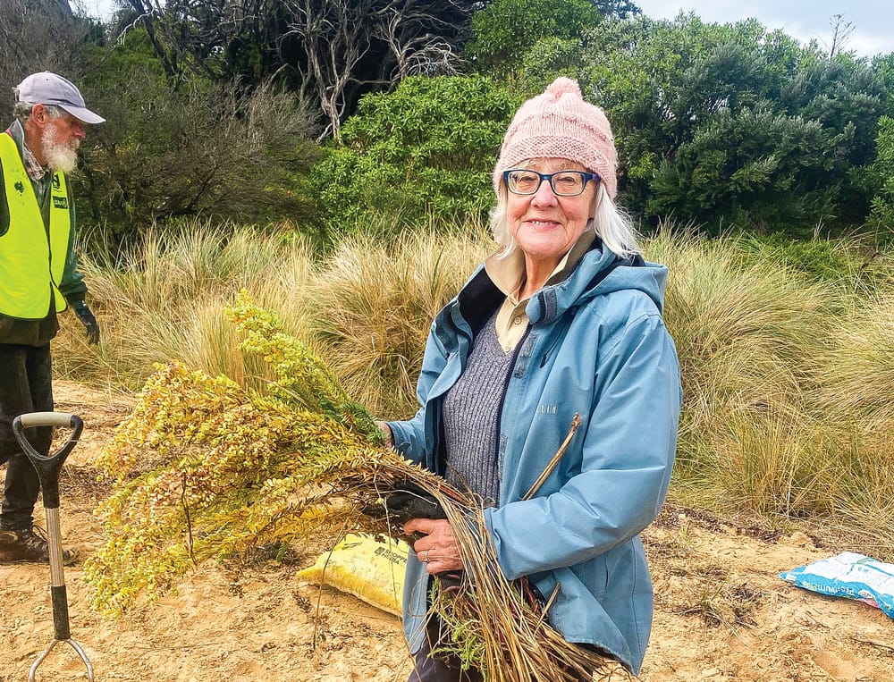 Sea spurge purge post image