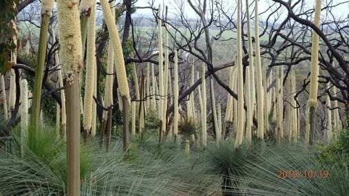 Bass Coast’s priceless asset post image