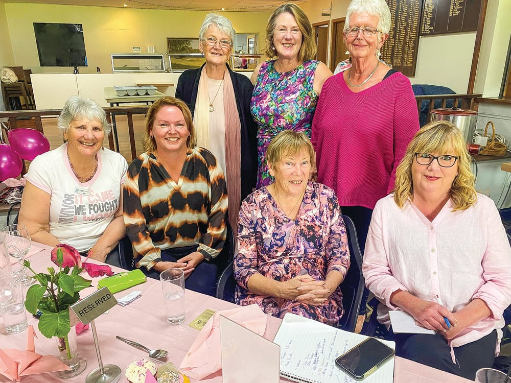Pink ladies raise funds toward chemotherapy chair post image