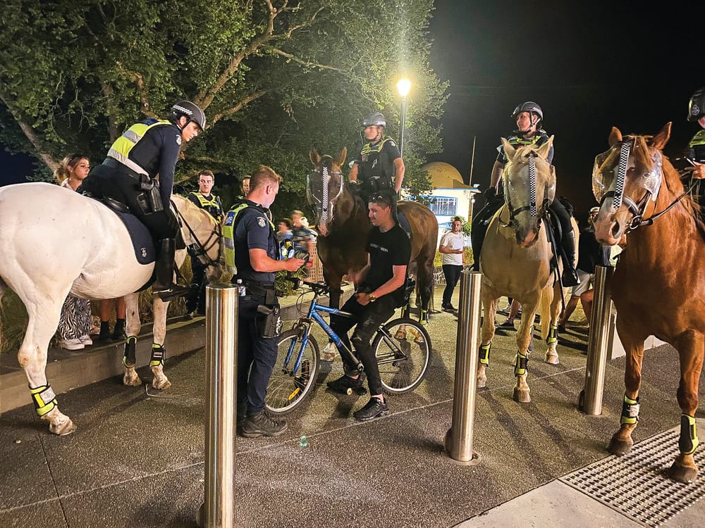 Summer daze post image