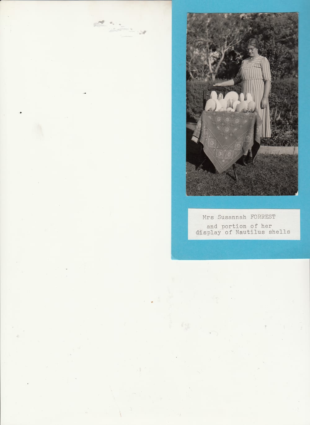 The Forrest Pioneering Family post image