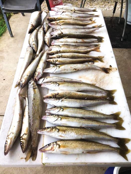 Fishing report post image