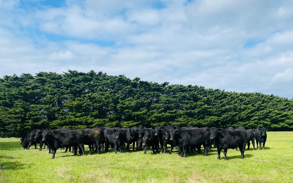 Low rain means farmers fork out post image