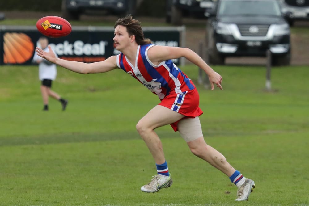 Reserves fight in tough battle against Seagulls post image