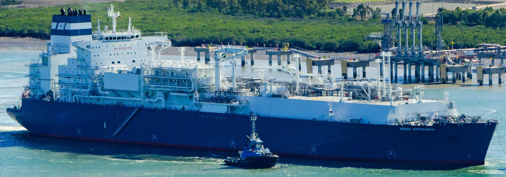 AGL gas plans ignore social, human impacts: psychologist post image