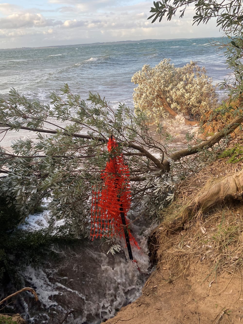 Erosion questioned in Parliament post image