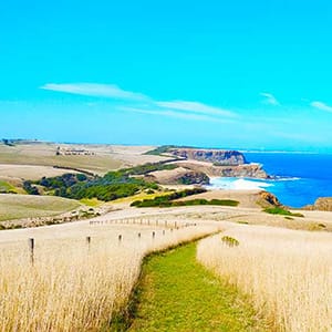 George Bass Coastal Walk post image