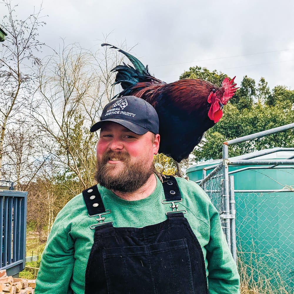 South Gippsland rooster rescuer endorsed as candidate for Eastern Victoria post image