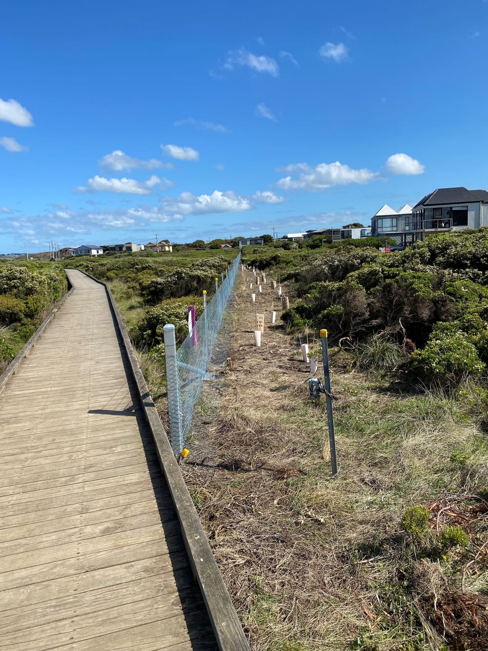 Tracks and trails strategy - priorities for Phillip Island post image