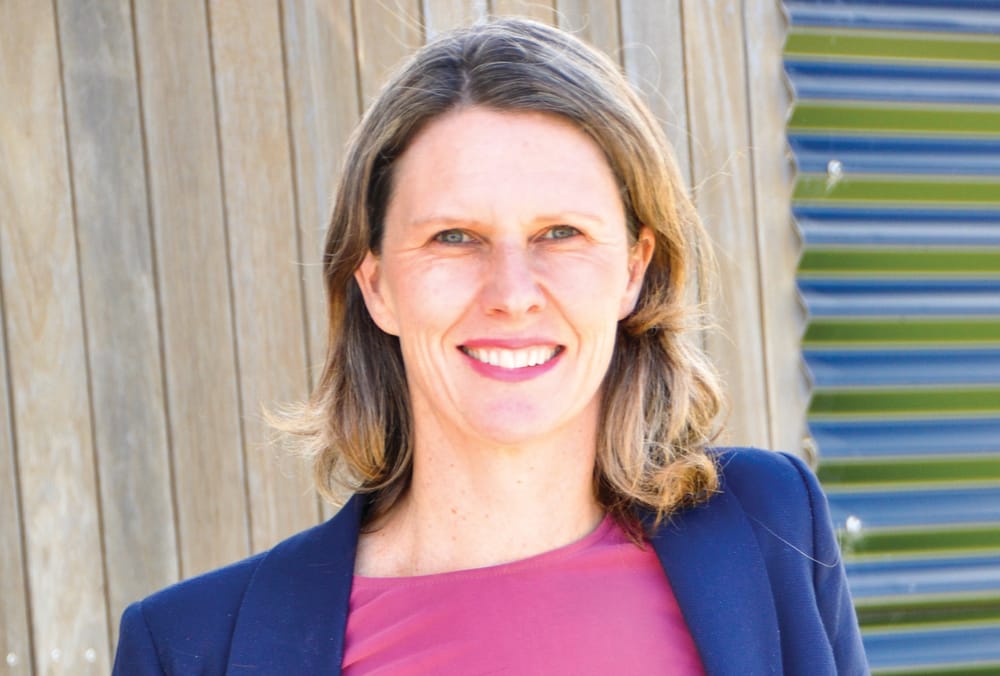 Shire CEO’s new role scrutinised post image