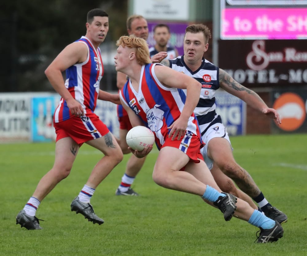 Doggies tied up at the Kennel - Reserves post image