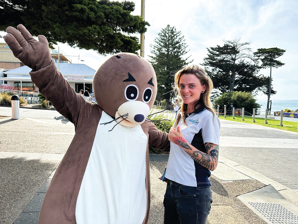 Another chance to love local post image