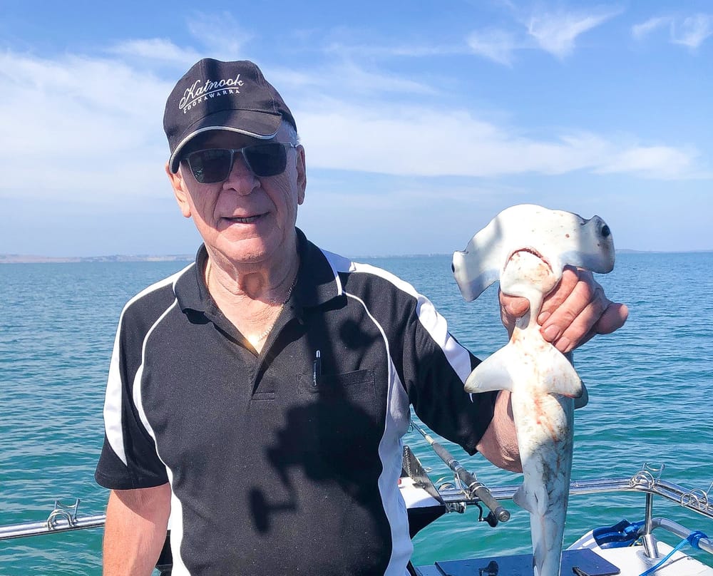 Hammer heads home post image