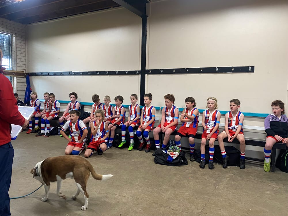 U10s learn some lessons post image