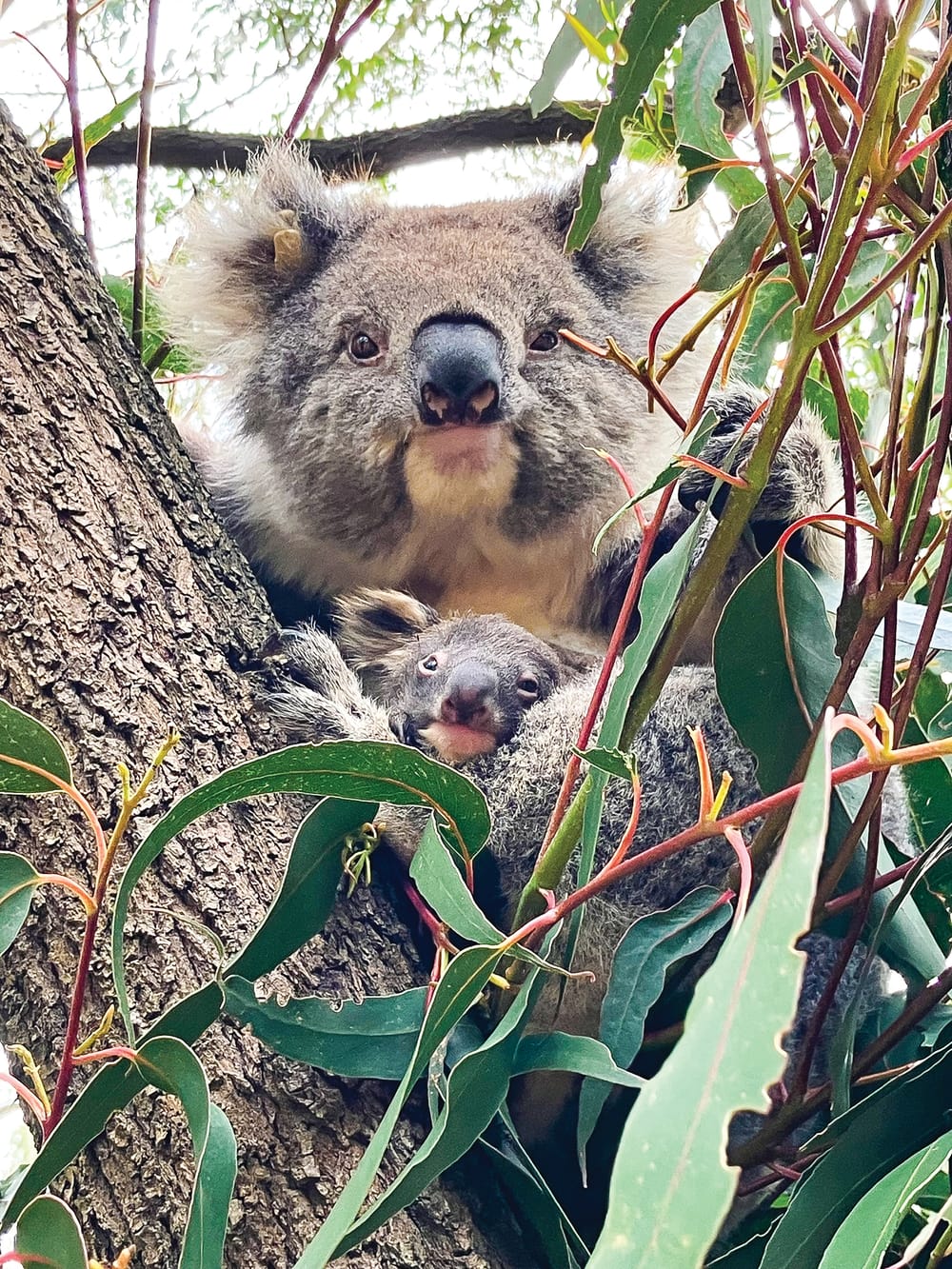 Head back to Nature these holidays post image
