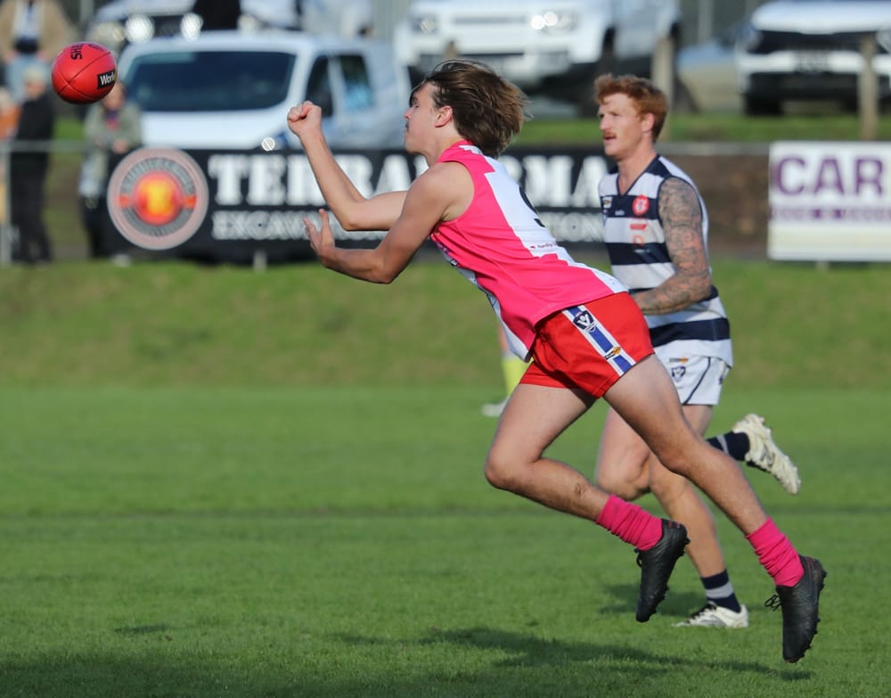 Doggies tied up at the Kennel - Seniors post image