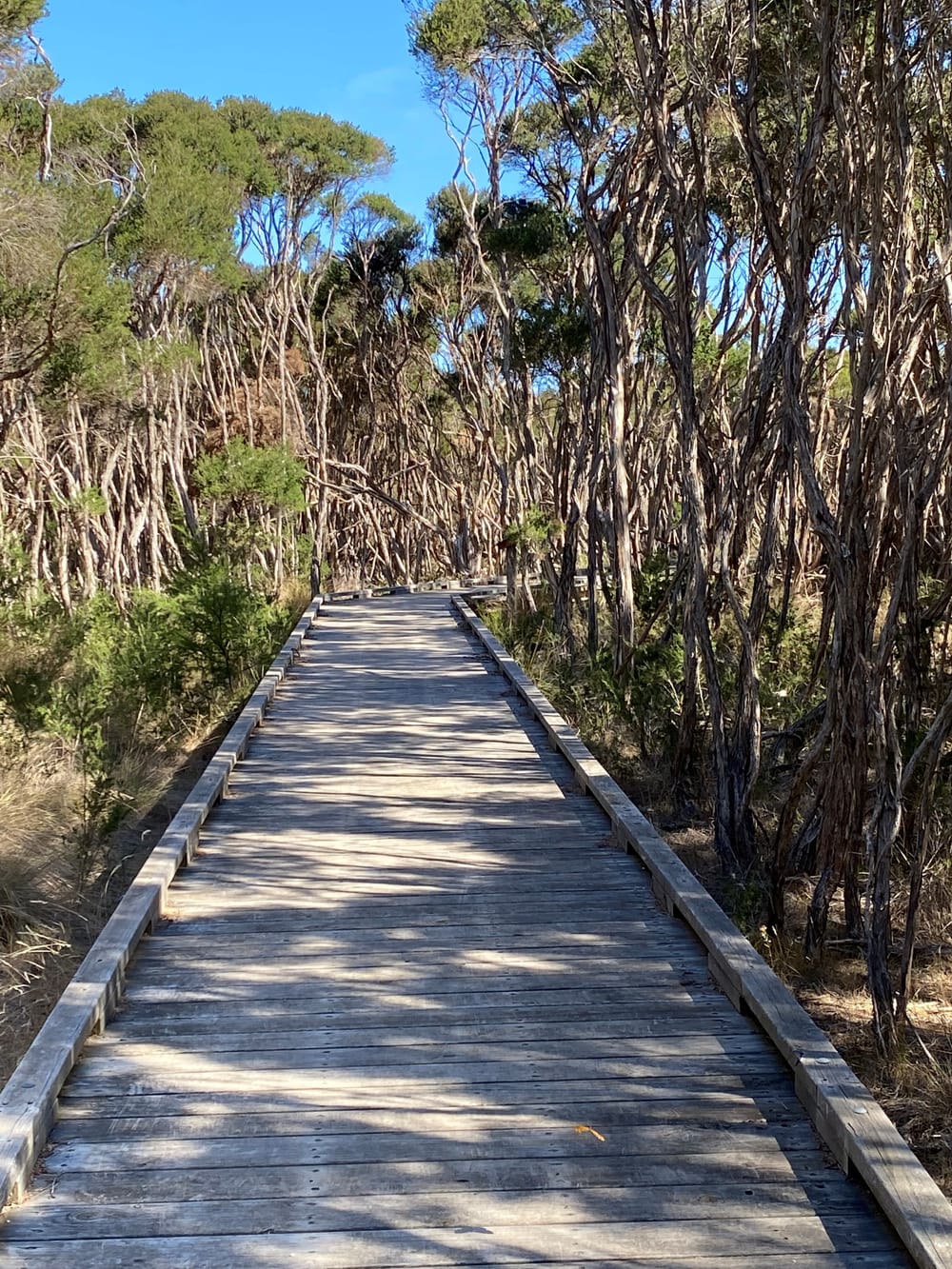 Tracks and trails plan green light, despite debate post image