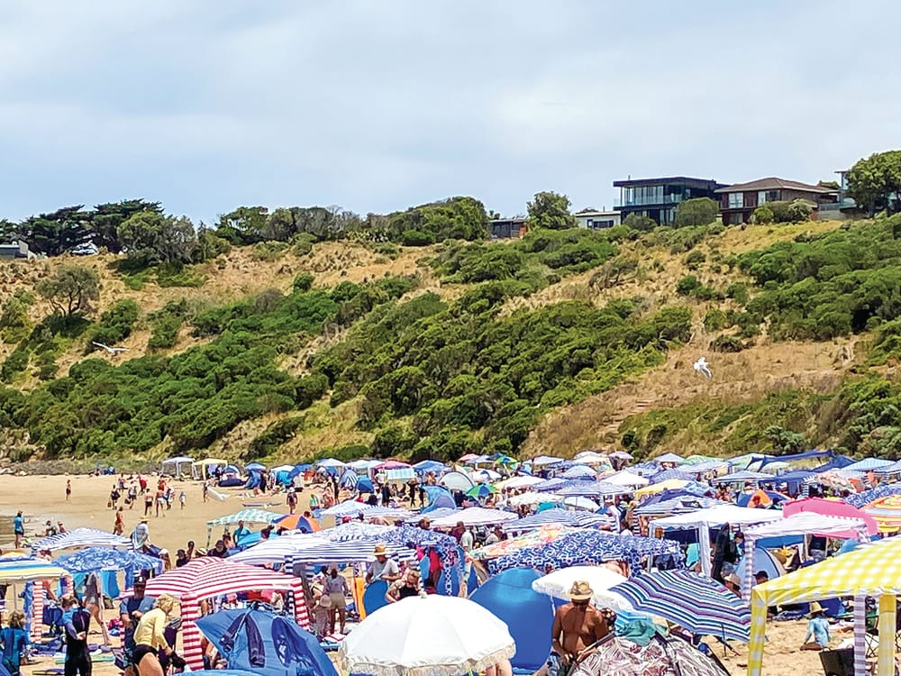 Surf life savers on the go post image