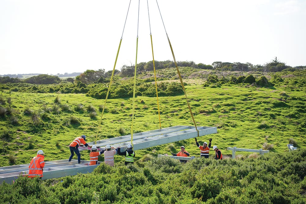 Better view at Penguin Parade post image