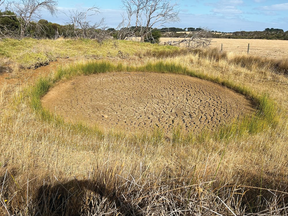 Hot and dry, but chance of water restrictions still low post image