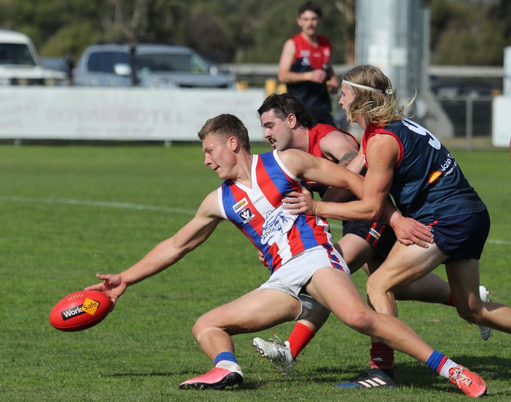 The Island proves too hot to handle for the Demons - Reserves post image