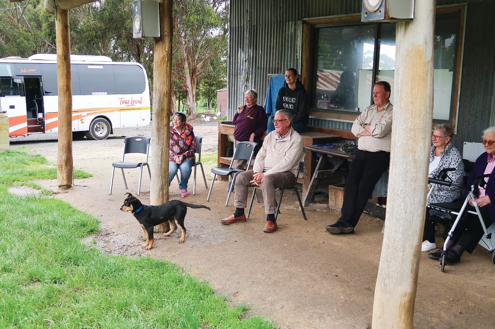 Round them up! post image