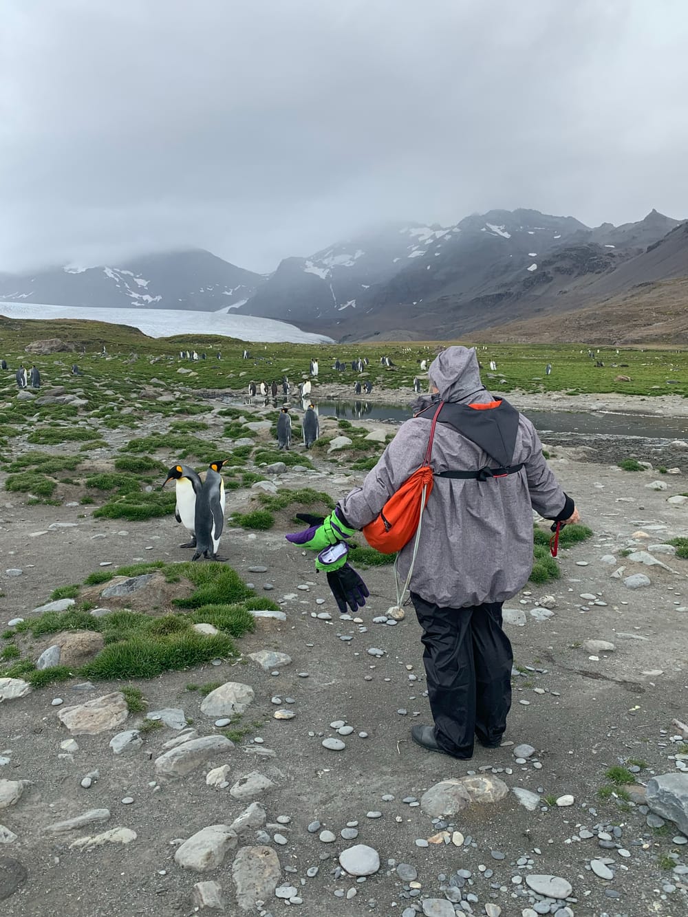 A real endurance trip post image