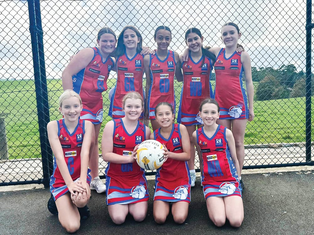 LDNA semi-finals await Island's netball talent post image