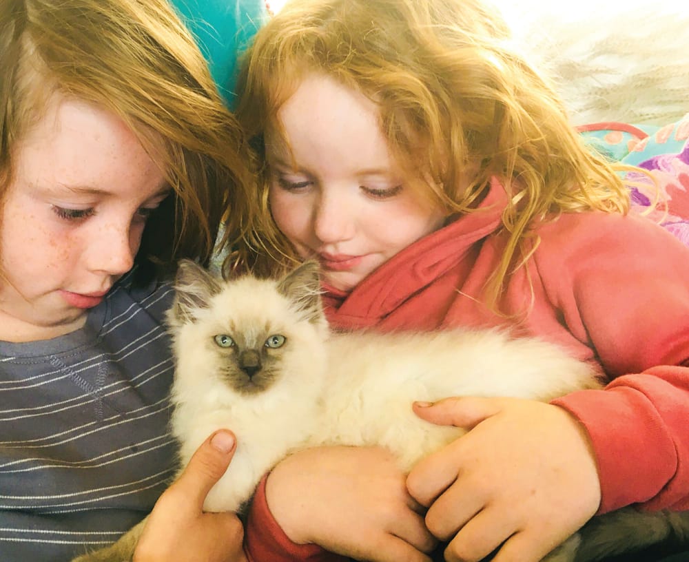 Diary of a family in quarantine #6 post image