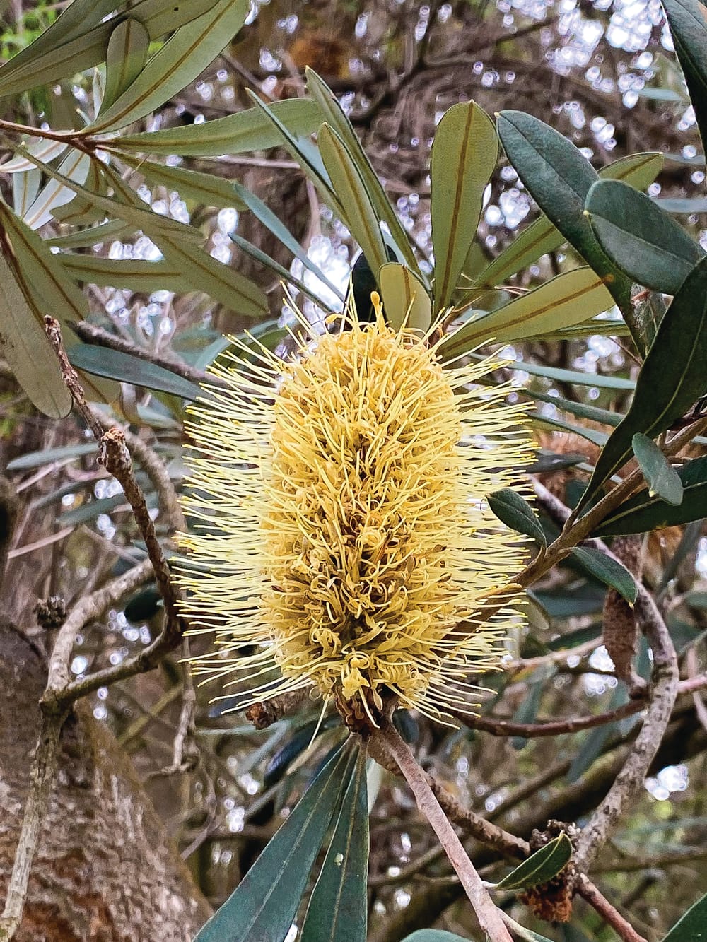 Know your Nature Parks - Winter at the Nature Parks post image