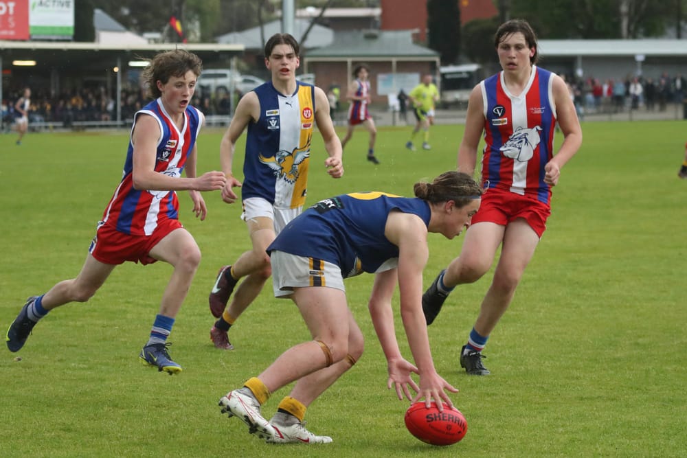 Champions of the future! post image