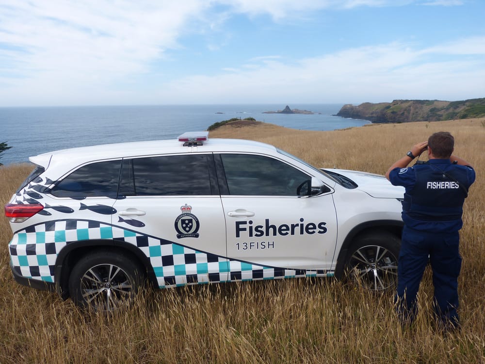 Fisheries facing the chop post image