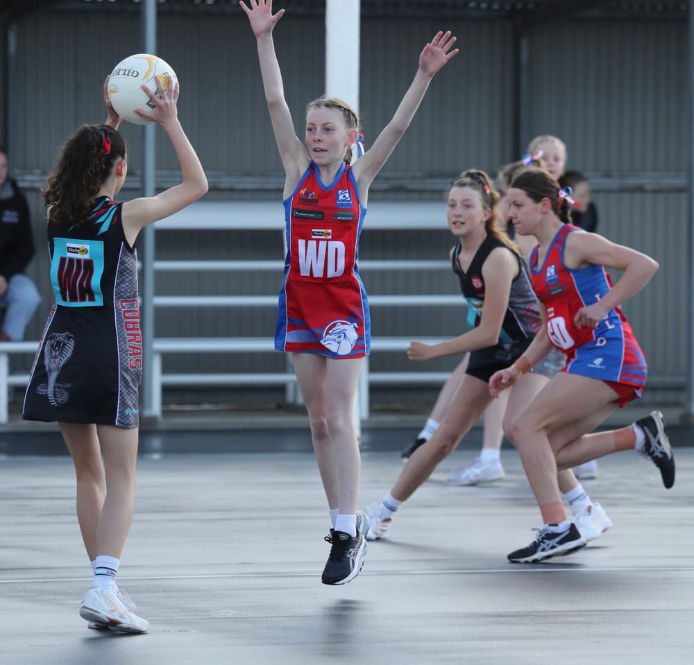 U13s netballers into grand finals post image