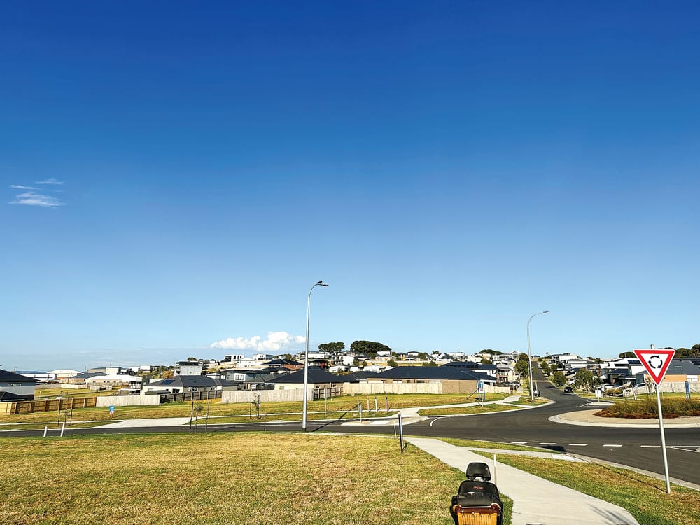 New developments will be required to keep trees and plant more post image