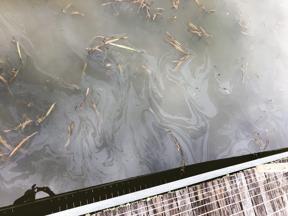 Slick back! Oily film reappears on lake post image