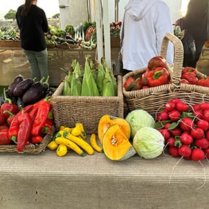 Churchill Island Farmers Market post image
