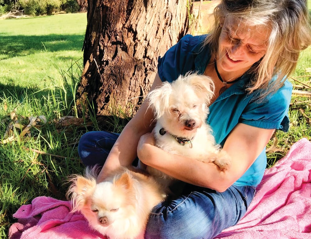 Consider adopting a dog locally post image