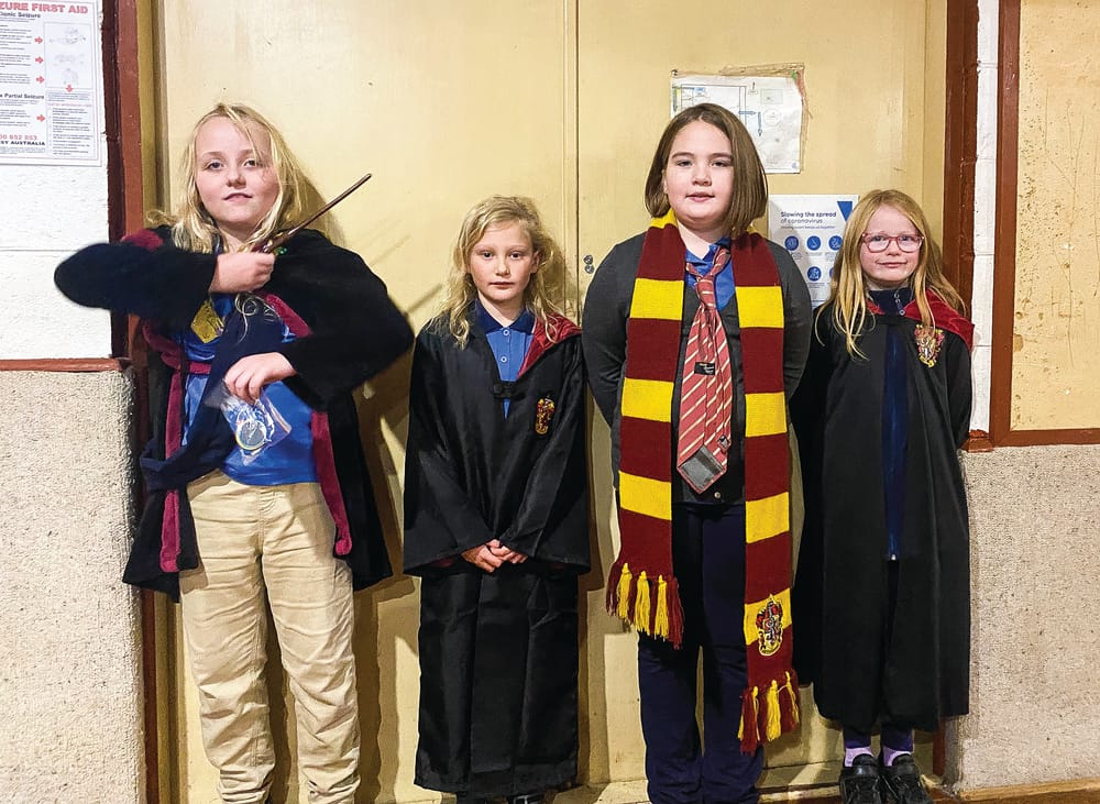 Awards for local Girl Guides post image