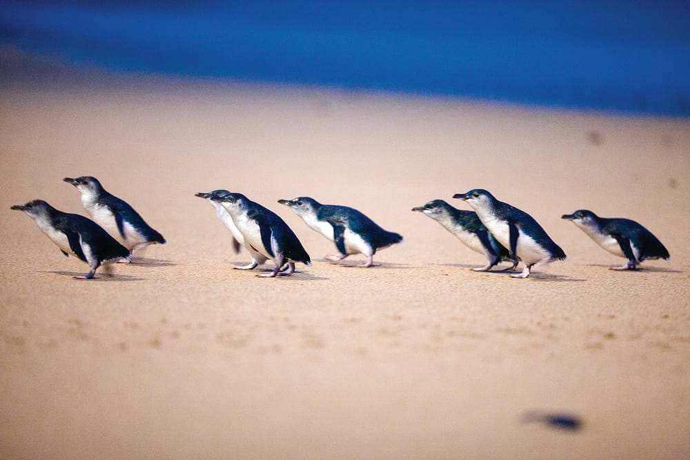 Island reaps benefit of record high tourism spend post image