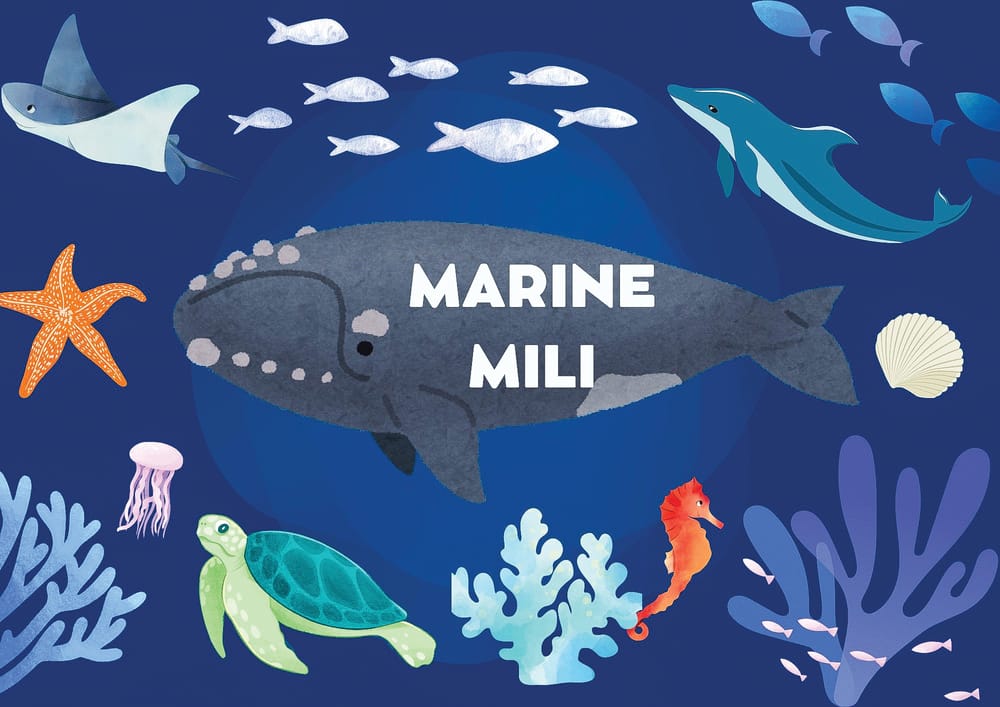 Follow the clean up post image