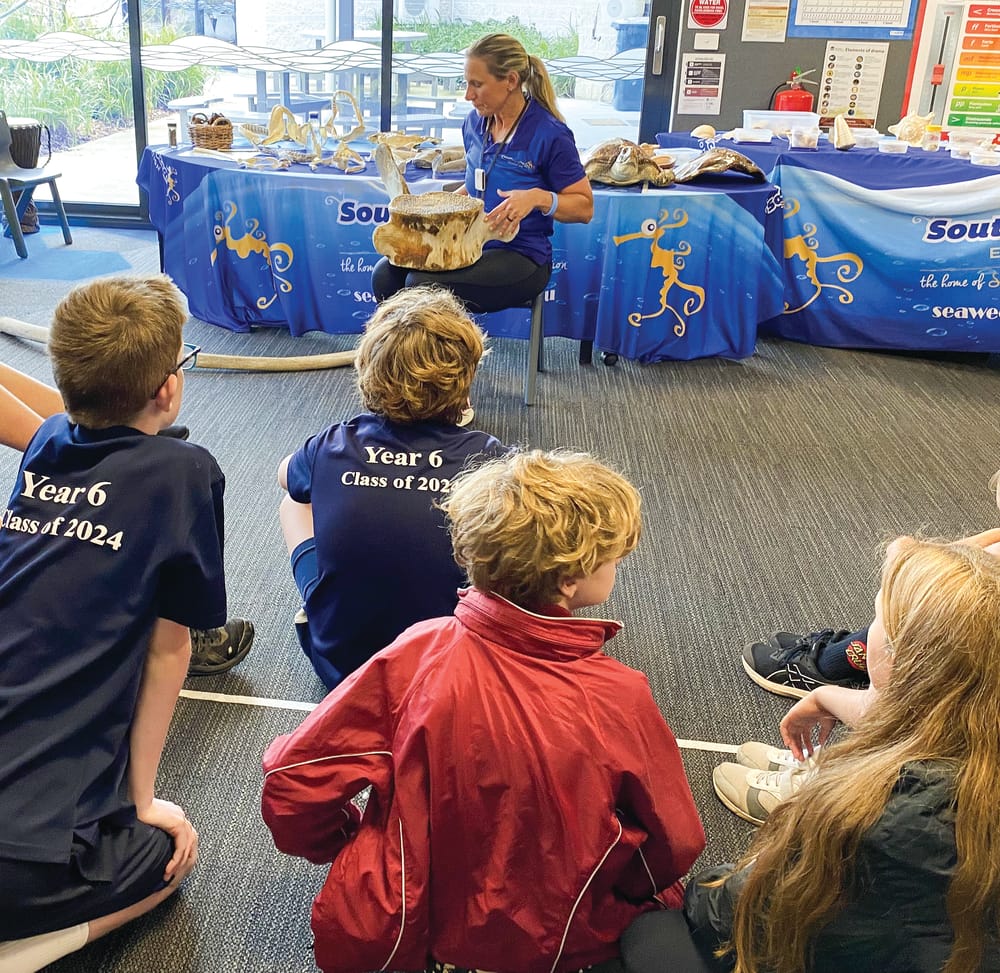 Seaweed Sally star of the school post image