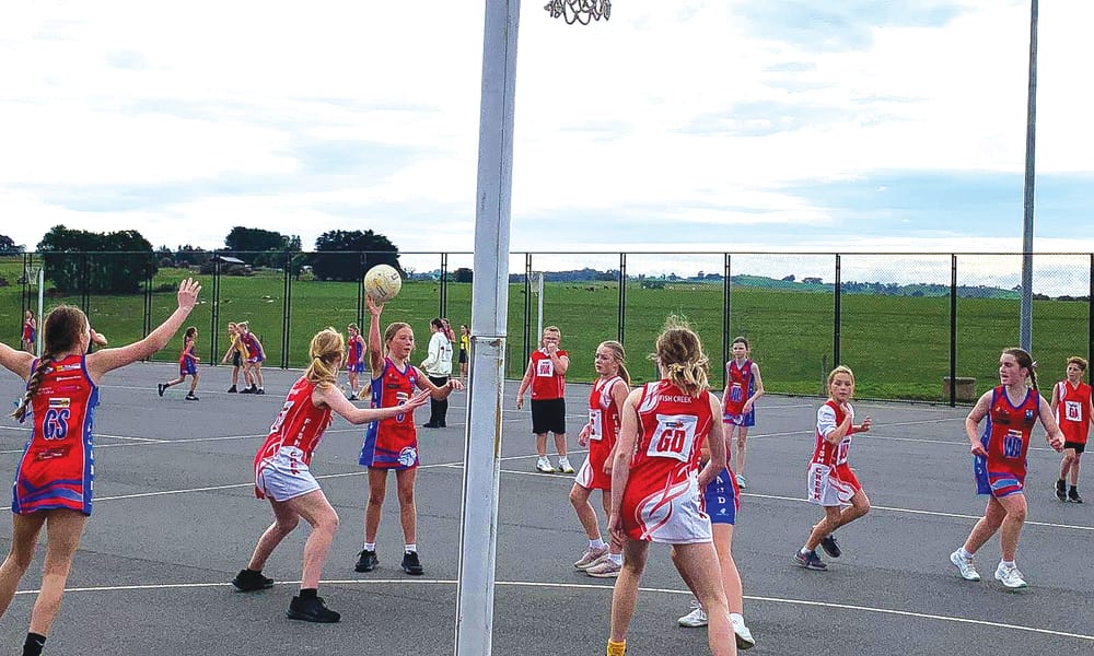 Victories for Island LDNA post image