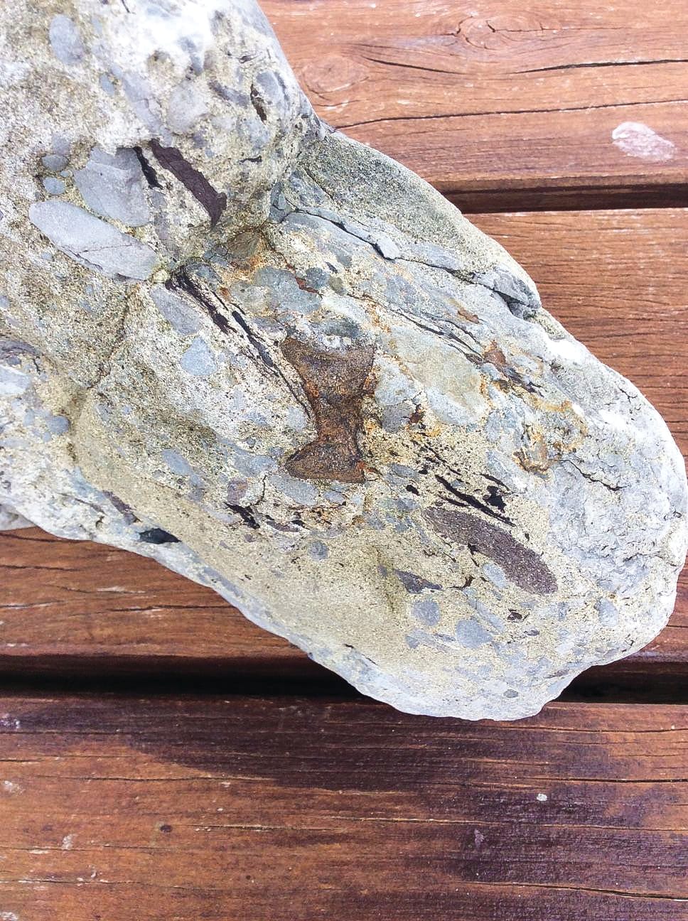 Walking with dinosaurs post image