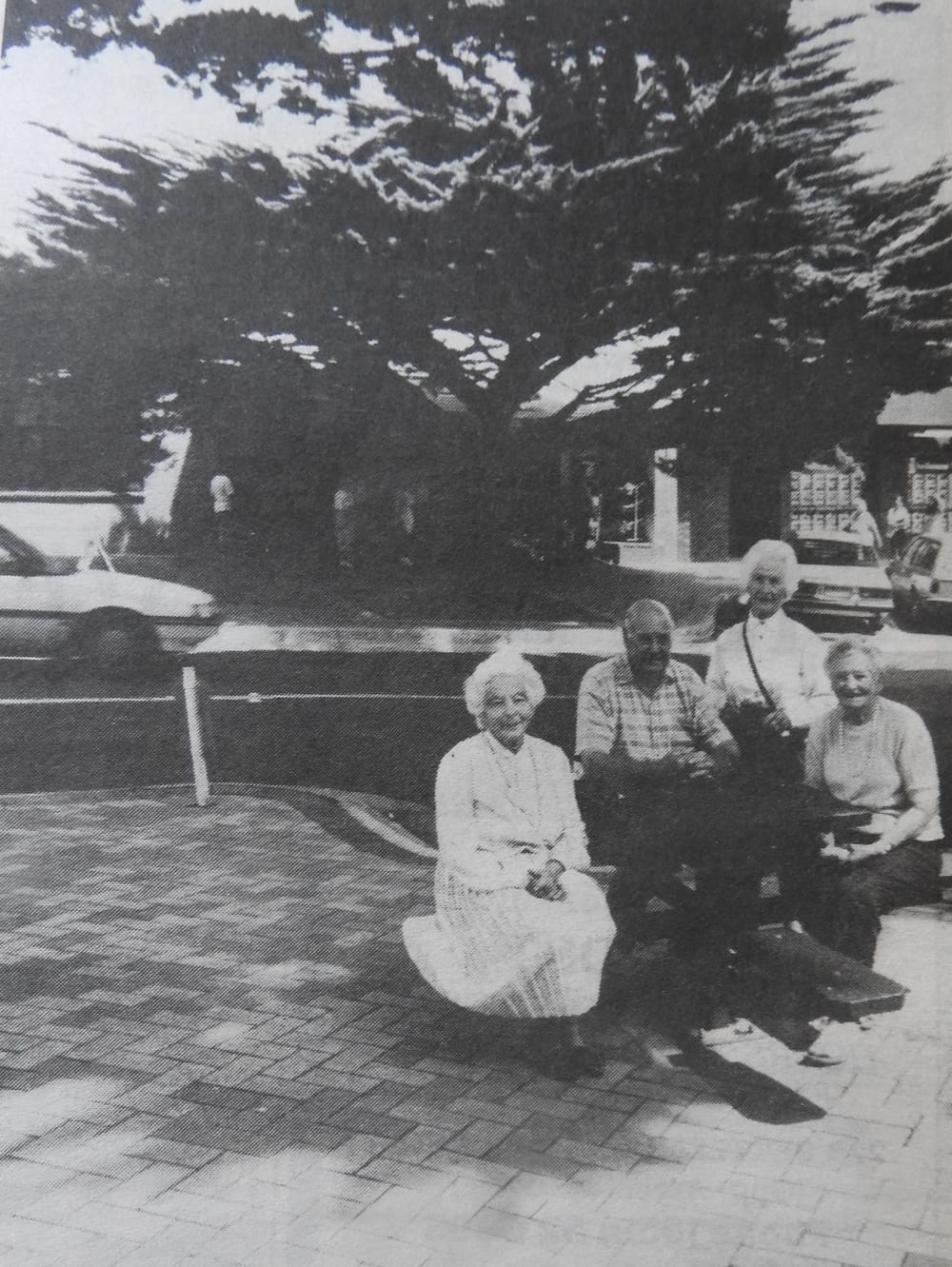 The greening of Cowes begins post image