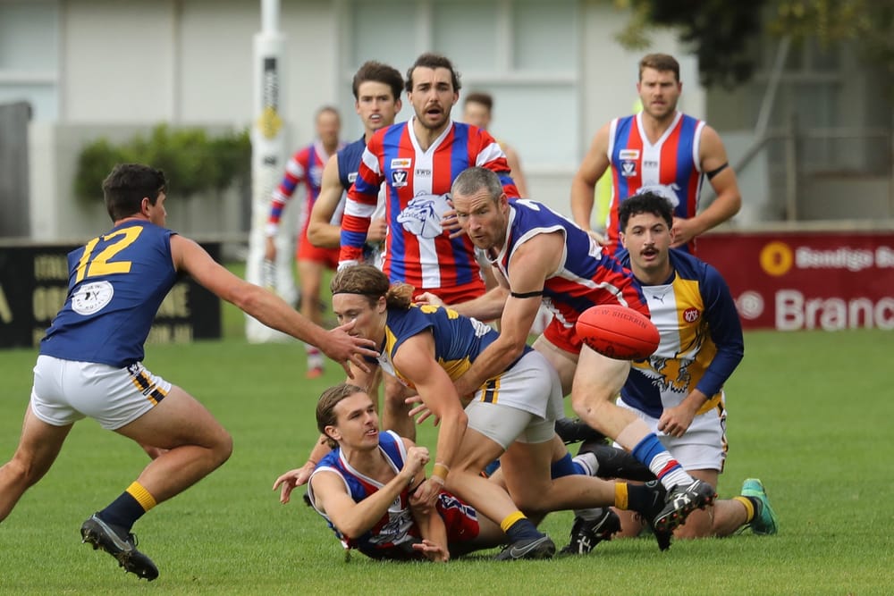 Bass Coast big dogs battle it out post image