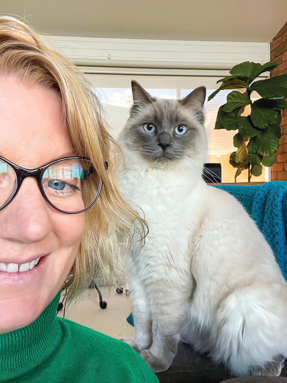 Lisa’s lowdown post image