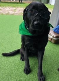 Phillip Island bowls results post image